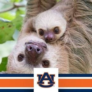 Meet your Posher, Gloria